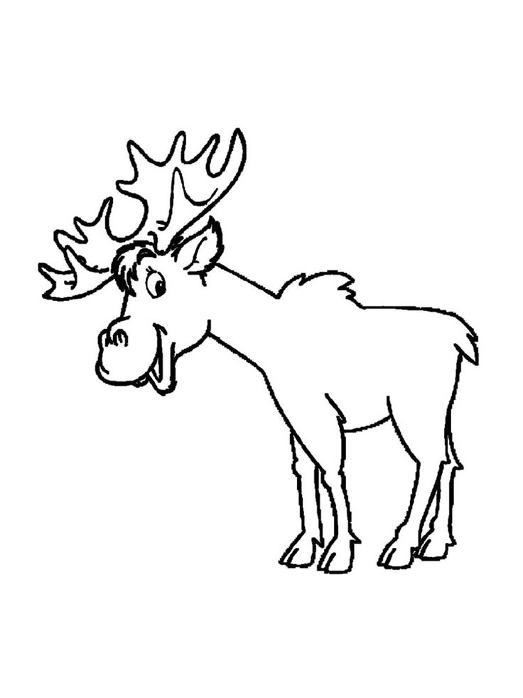 36 Majestic Elk Coloring Pages Printable 30