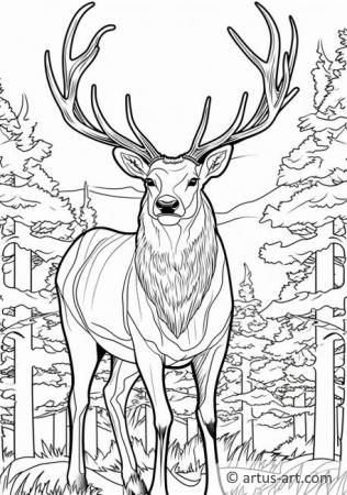 36 Majestic Elk Coloring Pages Printable 33