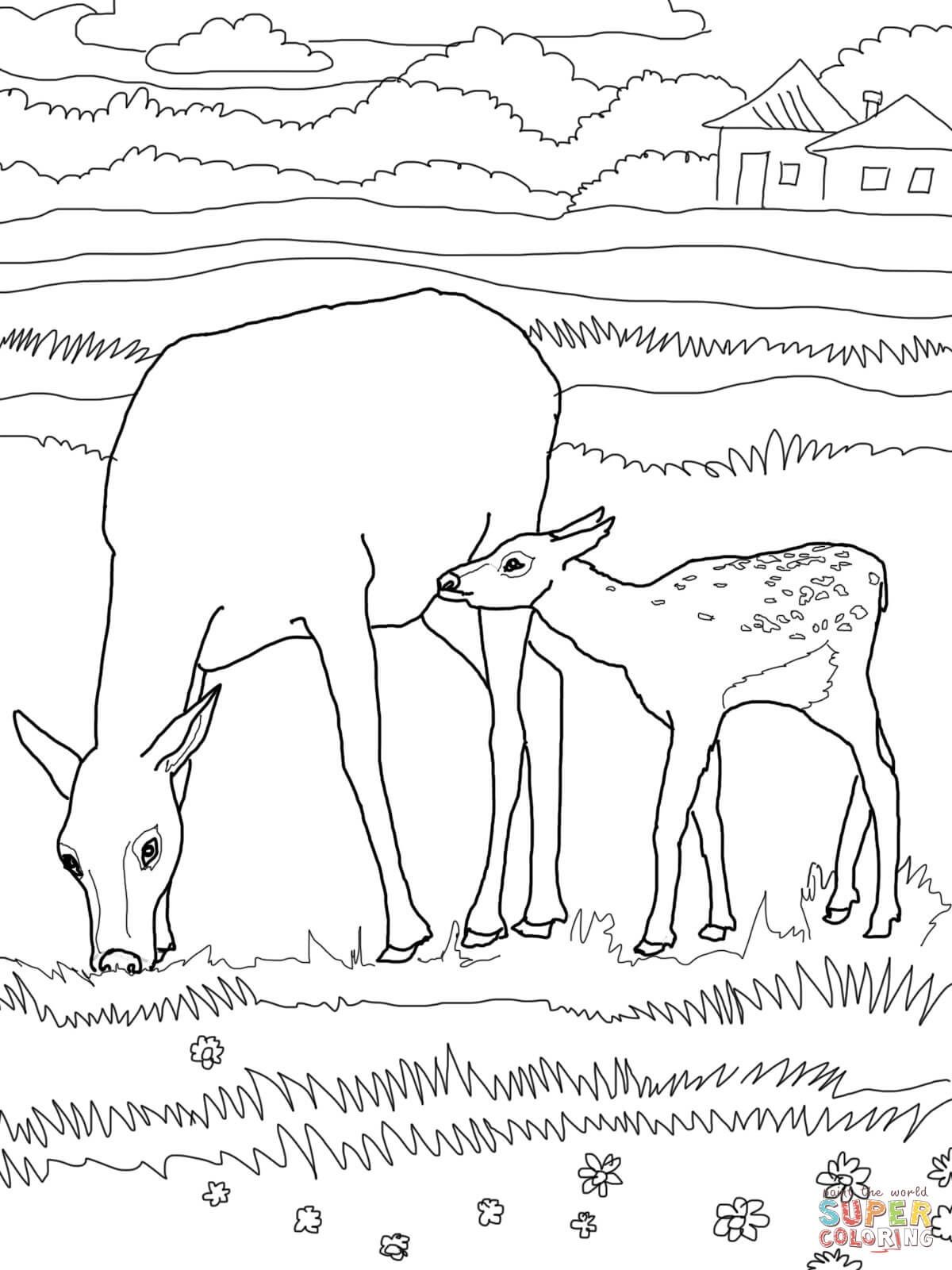 36 Majestic Elk Coloring Pages Printable 34