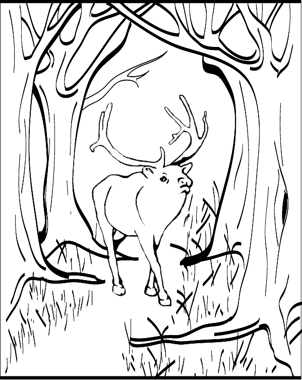 36 Majestic Elk Coloring Pages Printable 9