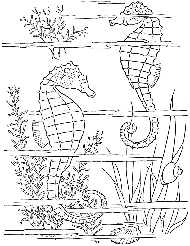 36 Ocean Adventure Coloring Pages Printable 13