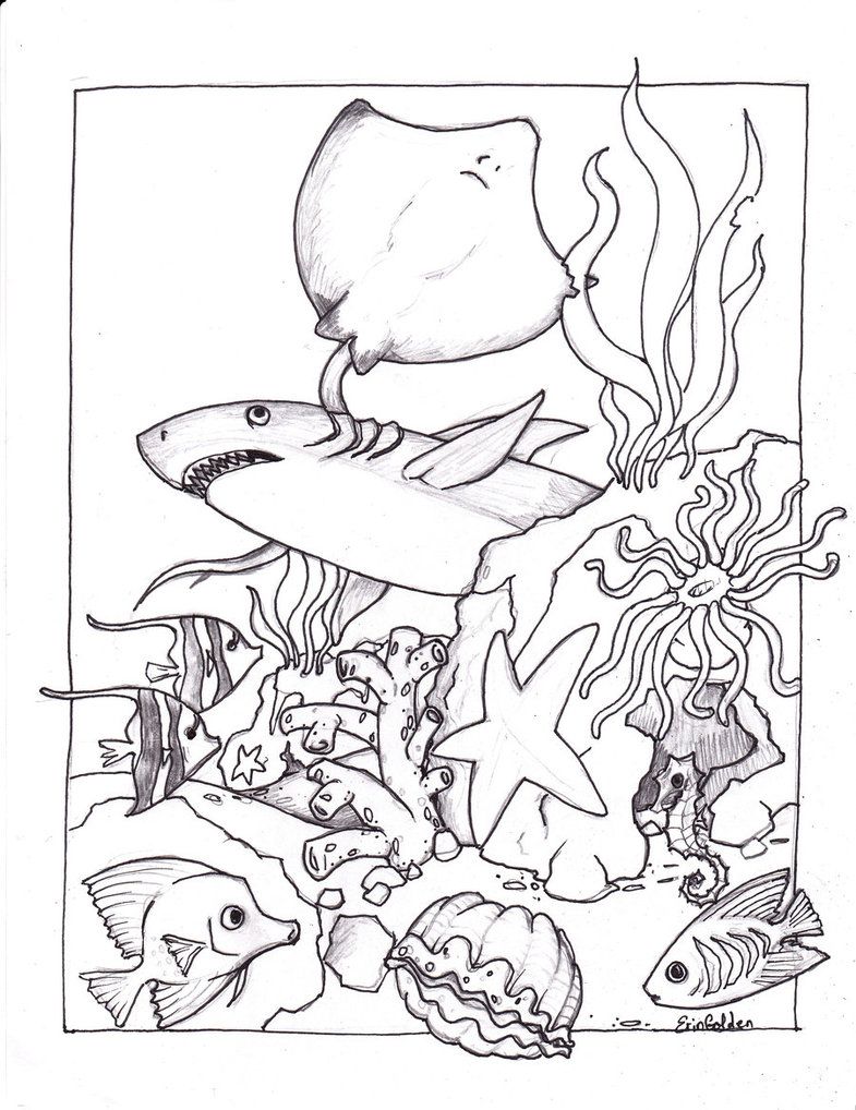 36 Ocean Adventure Coloring Pages Printable 16