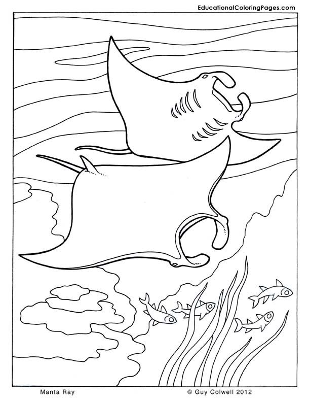 36 Ocean Adventure Coloring Pages Printable 19