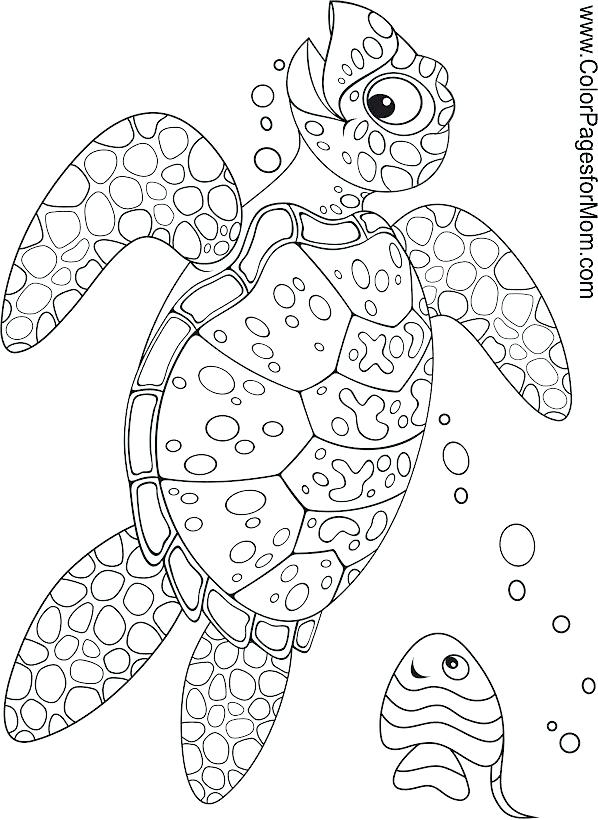 36 Ocean Adventure Coloring Pages Printable 26