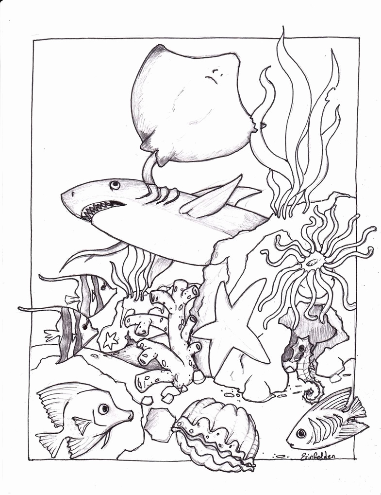 36 Ocean Adventure Coloring Pages Printable 28