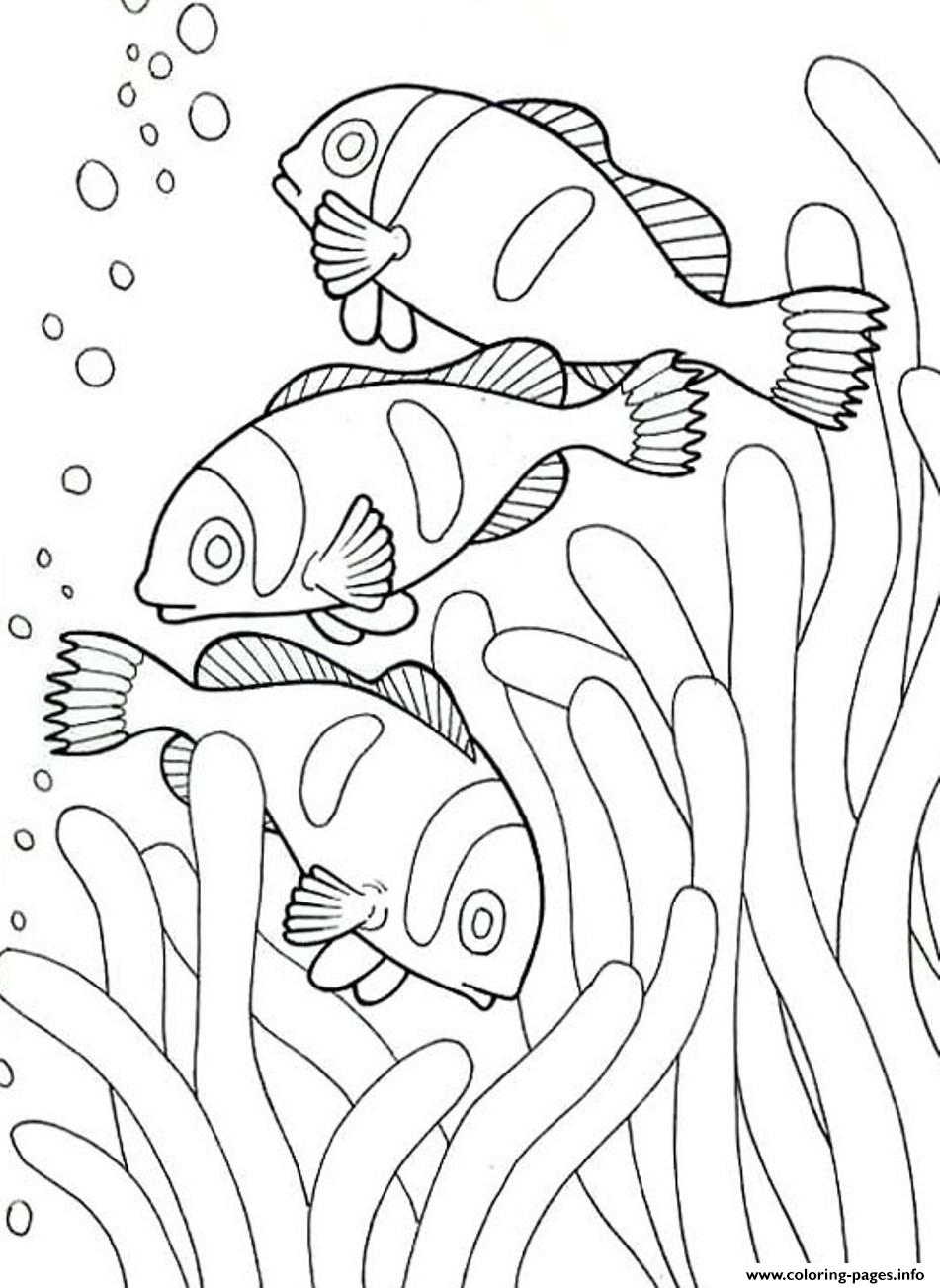 36 Ocean Adventure Coloring Pages Printable 33