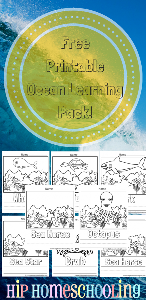 36 Ocean Adventure Coloring Pages Printable 7