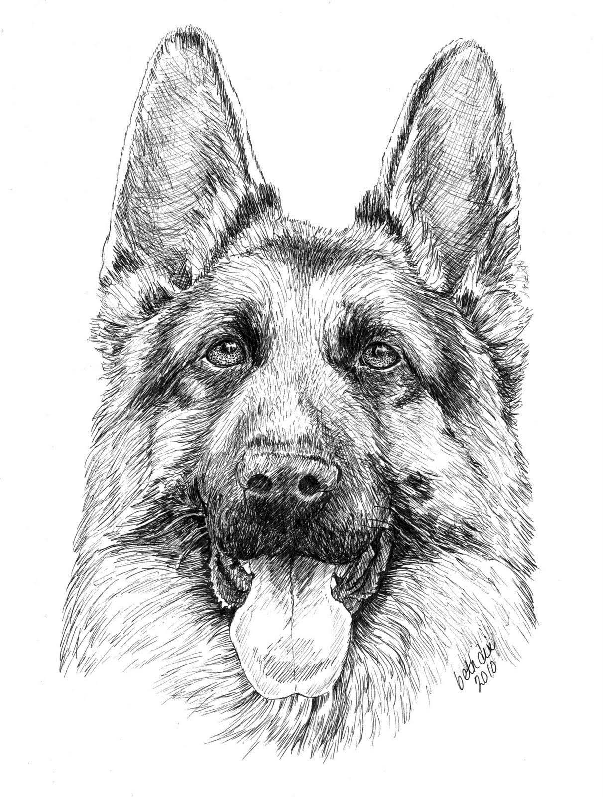 36 Realistic Dogs Coloring Pages Printable 1