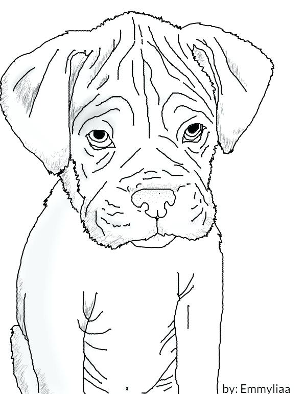 36 Realistic Dogs Coloring Pages Printable 8