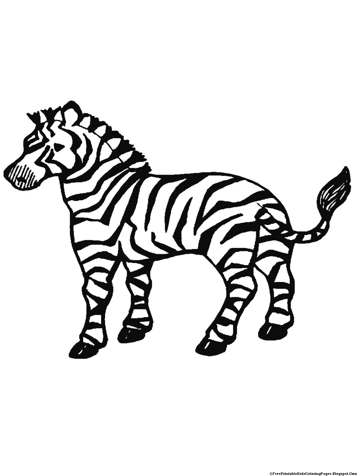 36 Zebra Coloring Pages for Kids Printable 1