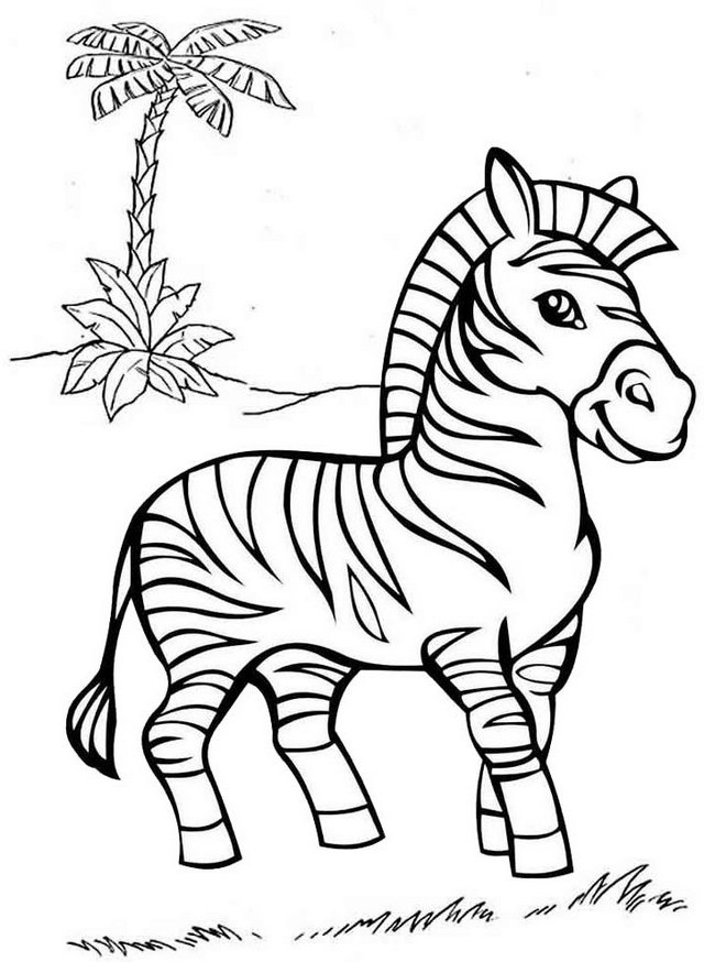 36 Zebra Coloring Pages for Kids Printable 10