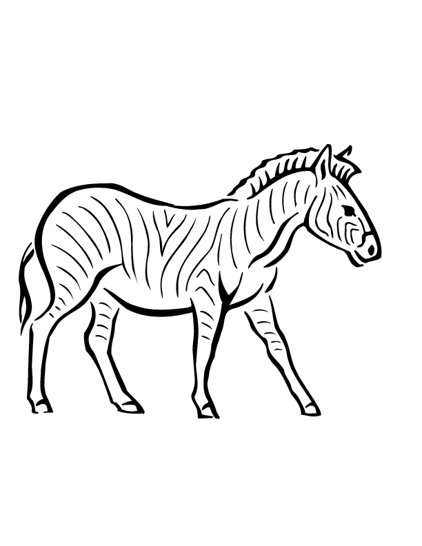 36 Zebra Coloring Pages for Kids Printable 12