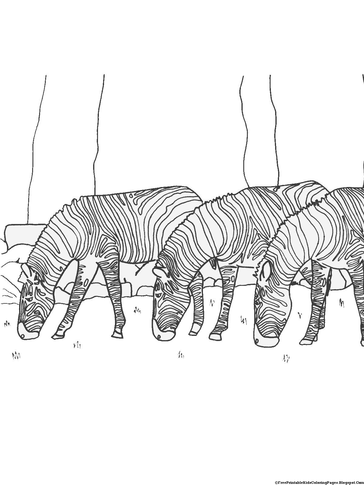 36 Zebra Coloring Pages for Kids Printable 15