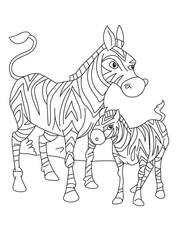 36 Zebra Coloring Pages for Kids Printable 17