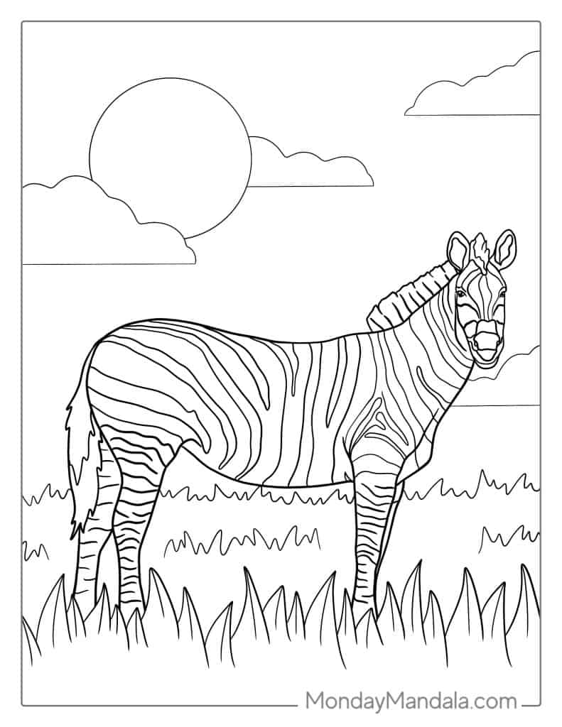 36 Zebra Coloring Pages for Kids Printable 19