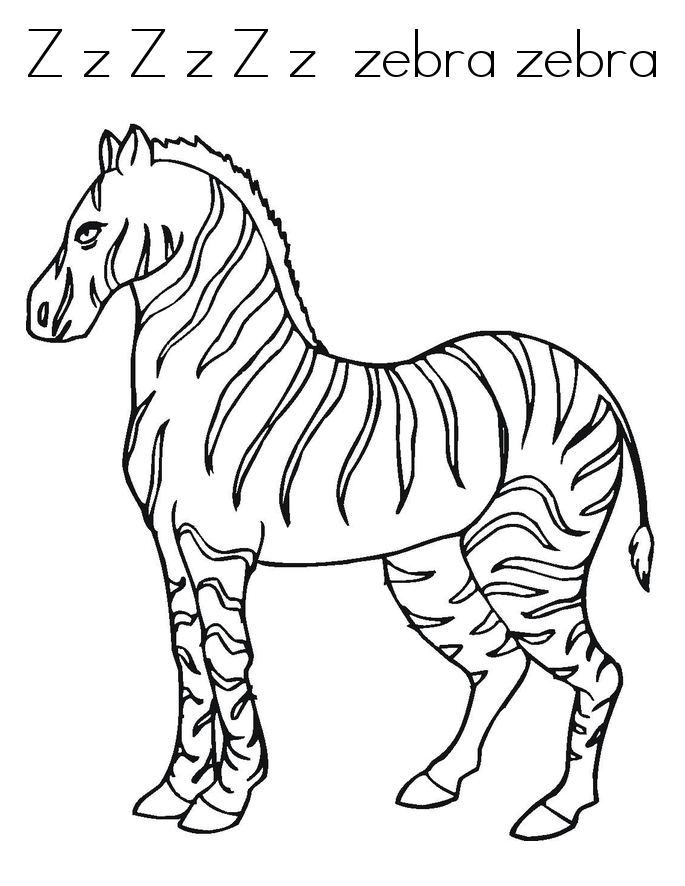 36 Zebra Coloring Pages for Kids Printable 25