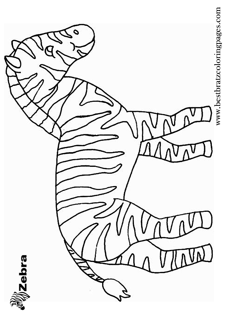 36 Zebra Coloring Pages for Kids Printable 31