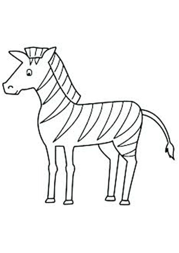 36 Zebra Coloring Pages for Kids Printable 33