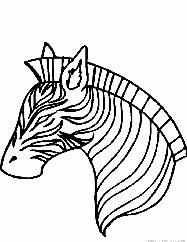 36 Zebra Coloring Pages for Kids Printable 5