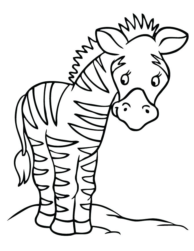 36 Zebra Coloring Pages for Kids Printable 8