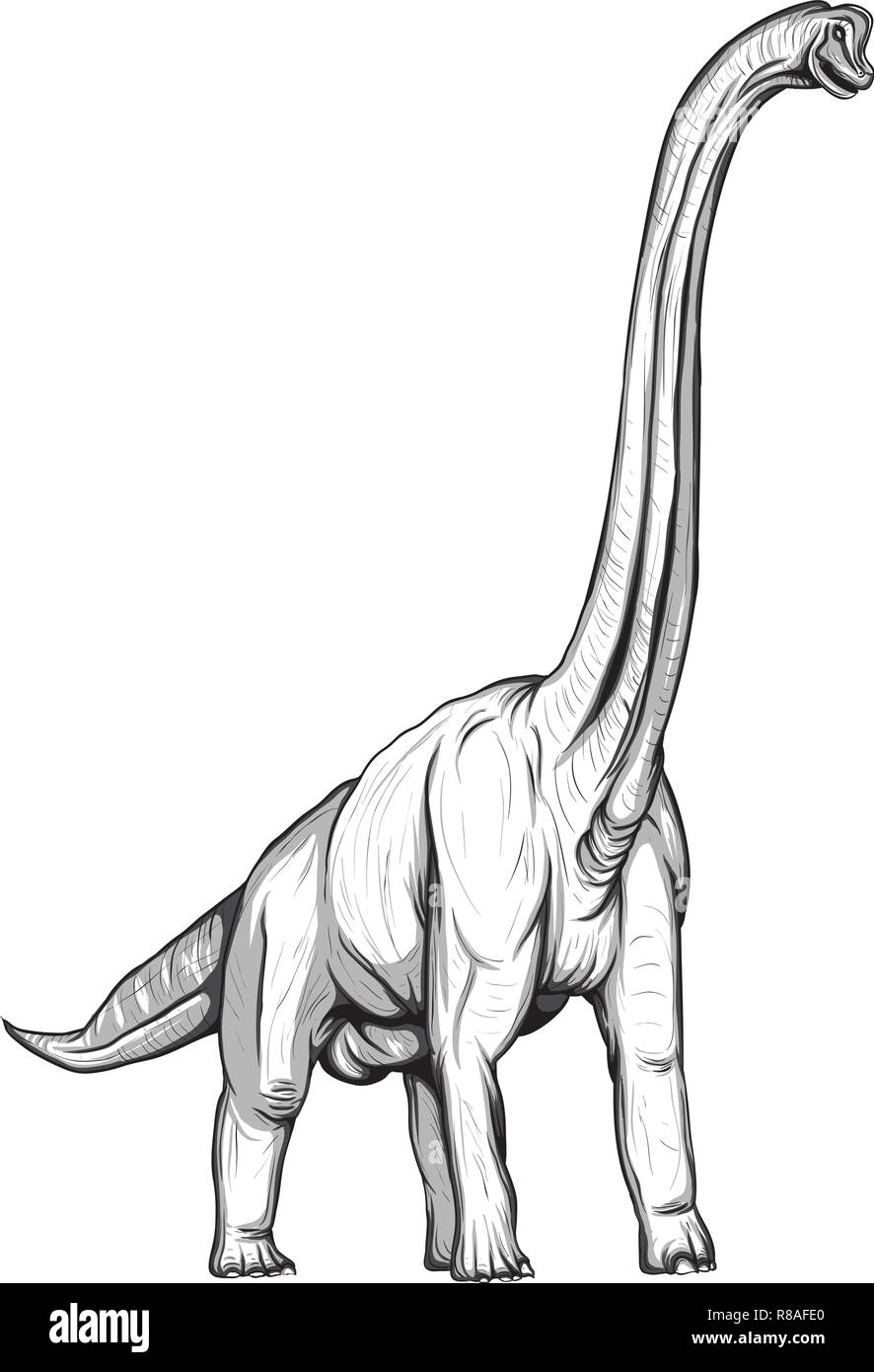 37 Majestic Brachiosaurus Coloring Pages Printable 14