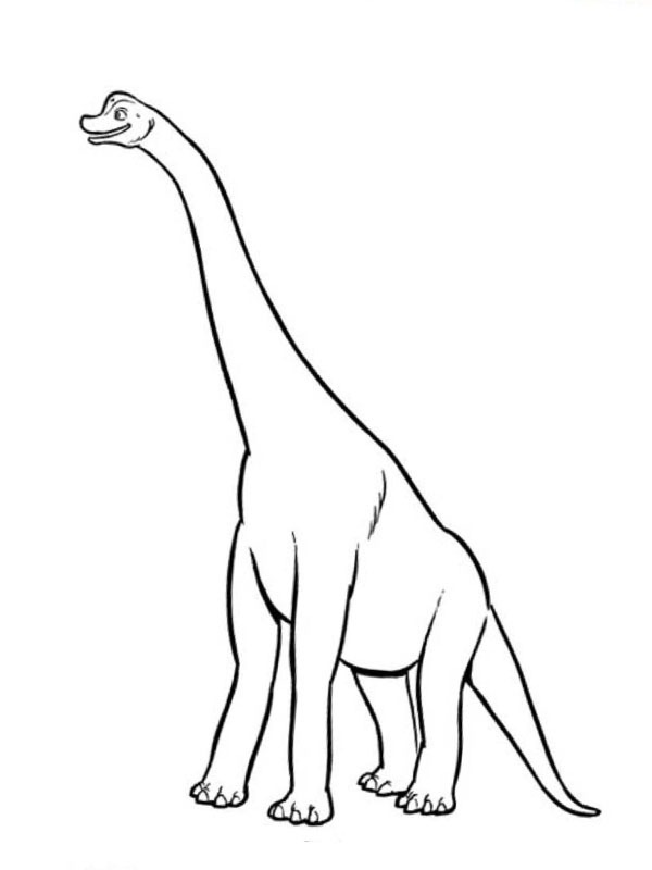 37 Majestic Brachiosaurus Coloring Pages Printable 16