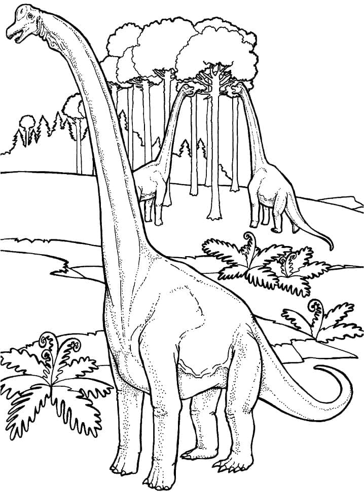 37 Majestic Brachiosaurus Coloring Pages Printable 26