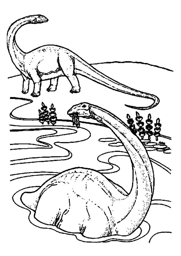 37 Majestic Brachiosaurus Coloring Pages Printable 5