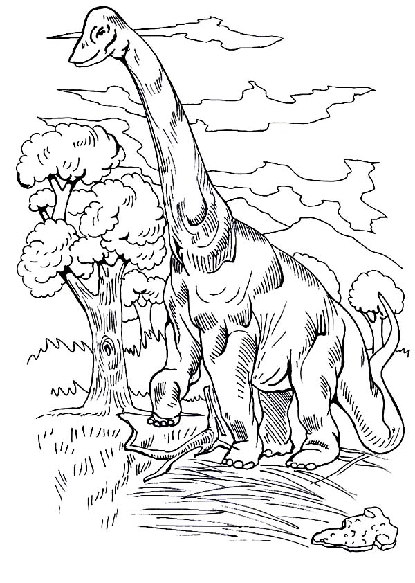 37 Majestic Brachiosaurus Coloring Pages Printable 7