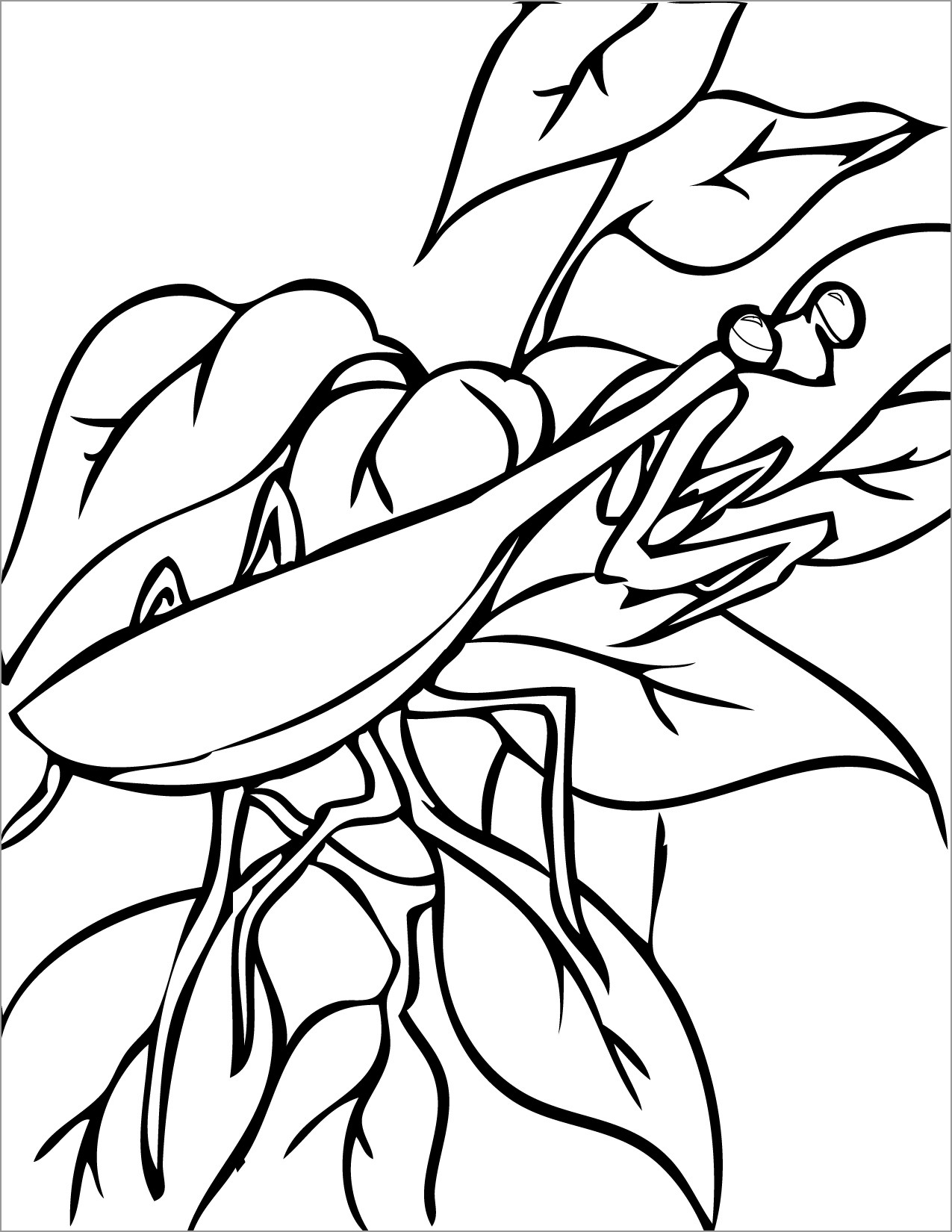 38 Fascinating Praying Mantis Coloring Pages Printable 1