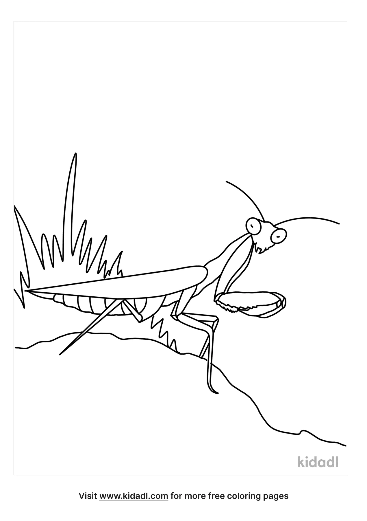 38 Fascinating Praying Mantis Coloring Pages Printable 10