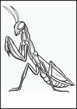 38 Fascinating Praying Mantis Coloring Pages Printable 14