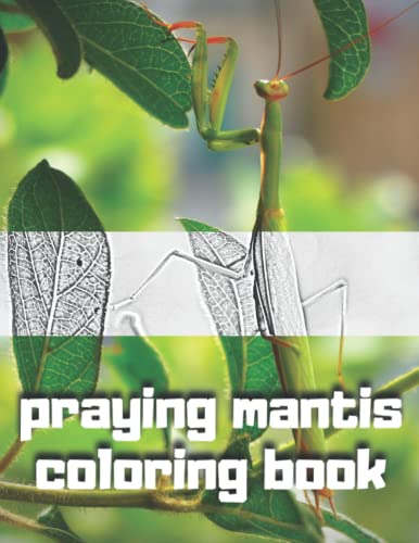 38 Fascinating Praying Mantis Coloring Pages Printable 20