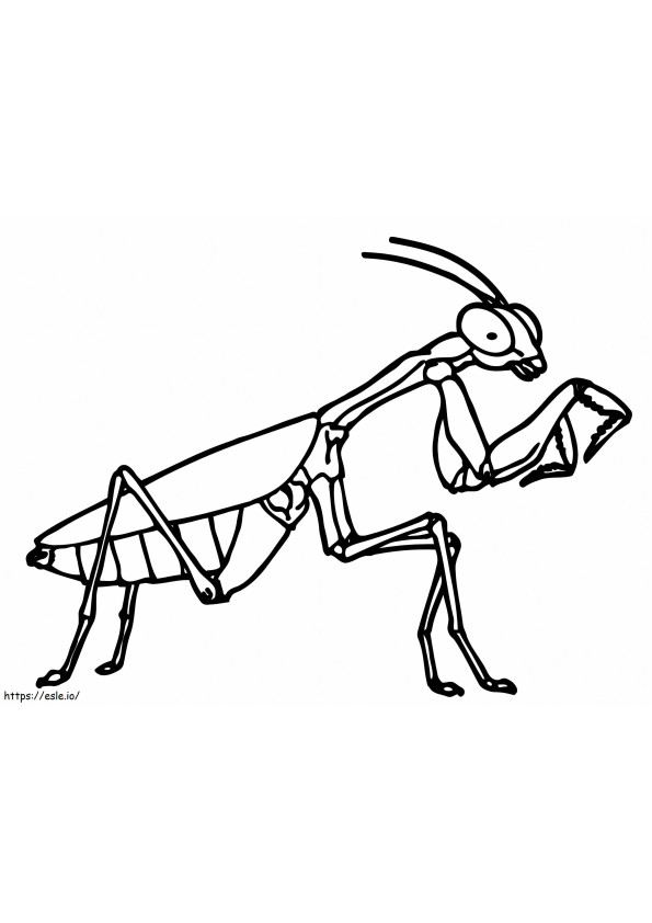 38 Fascinating Praying Mantis Coloring Pages Printable 3