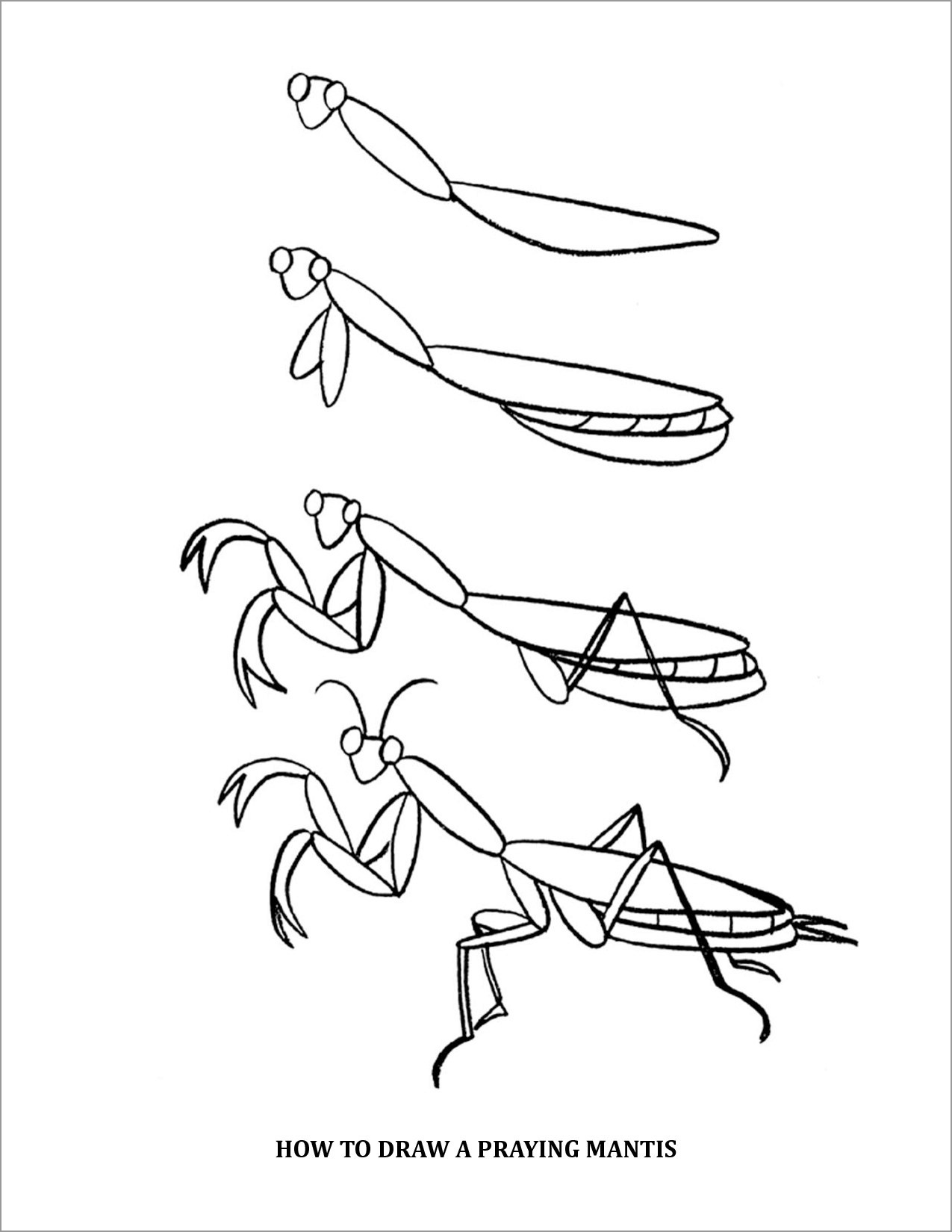 38 Fascinating Praying Mantis Coloring Pages Printable 31