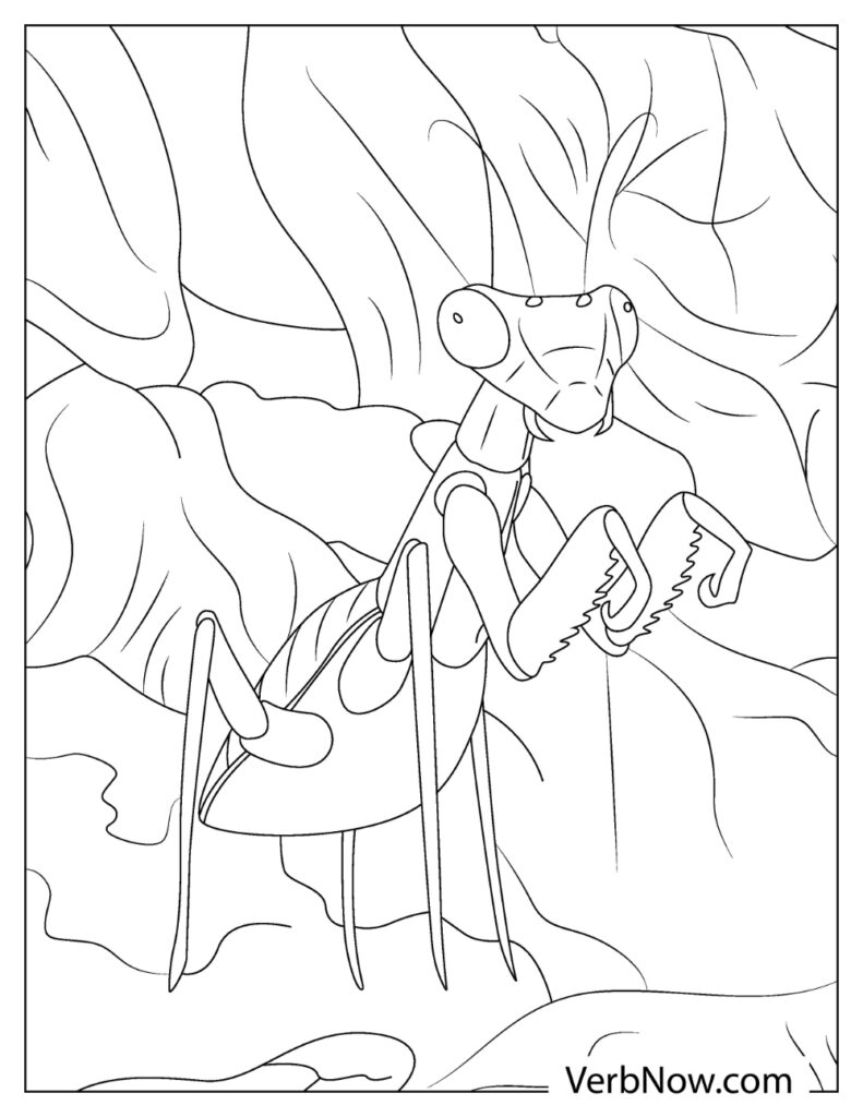 38 Fascinating Praying Mantis Coloring Pages Printable 33