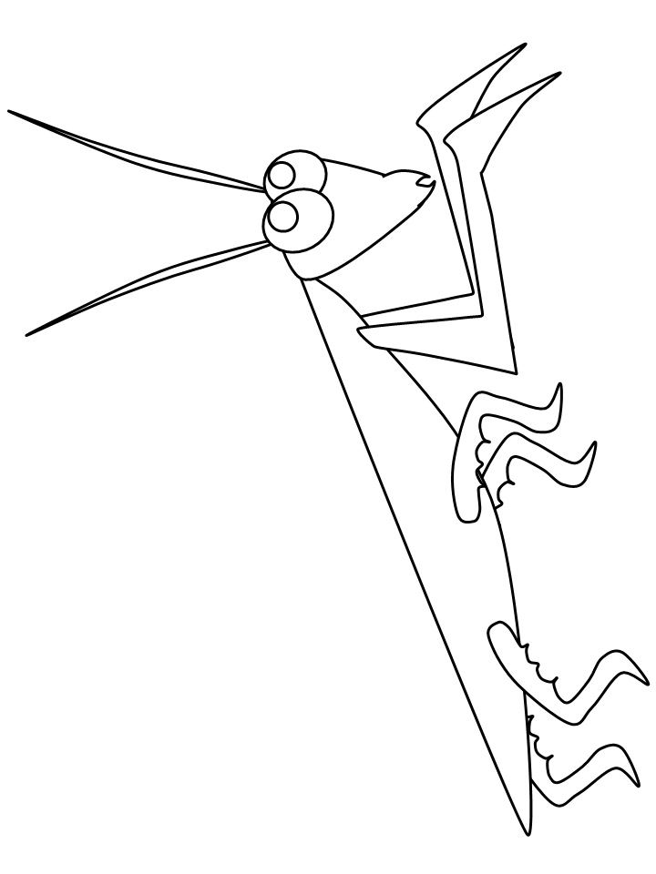 38 Fascinating Praying Mantis Coloring Pages Printable 6