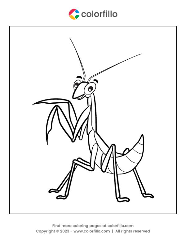 38 Fascinating Praying Mantis Coloring Pages Printable 7