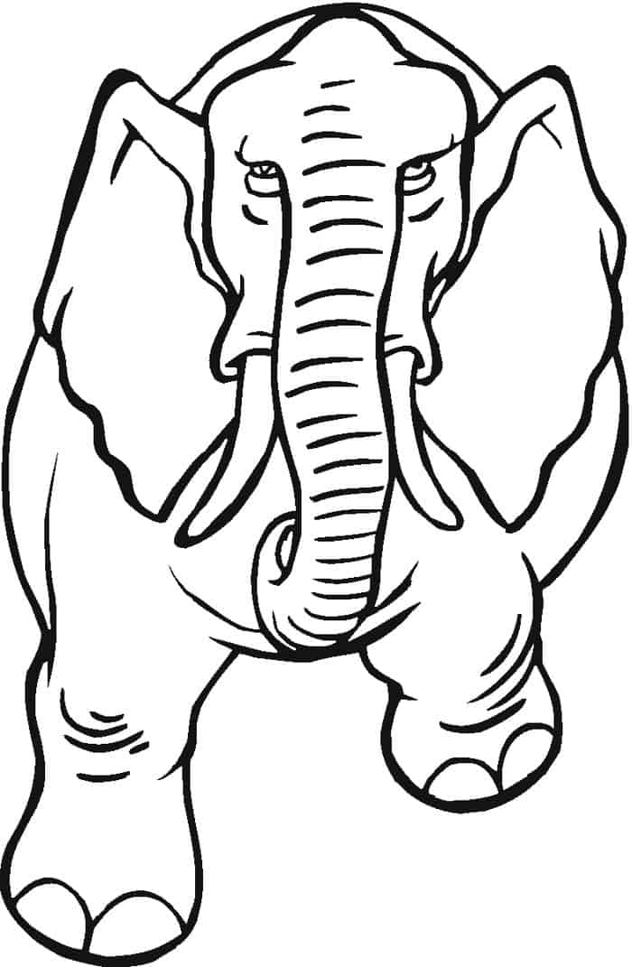 38 Playful Elephant Coloring Pages Printable 10