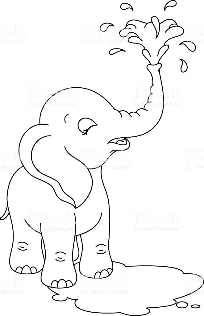 38 Playful Elephant Coloring Pages Printable 13