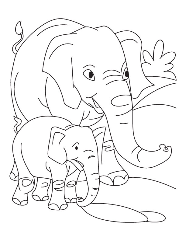 38 Playful Elephant Coloring Pages Printable 16