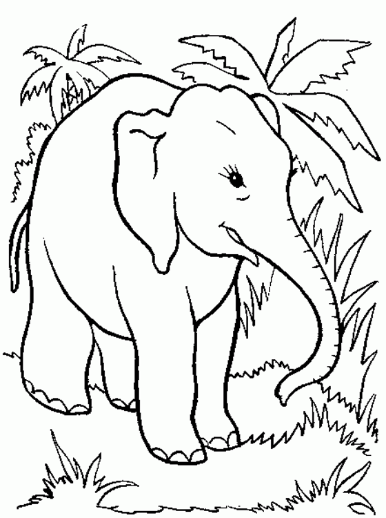 38 Playful Elephant Coloring Pages Printable 19