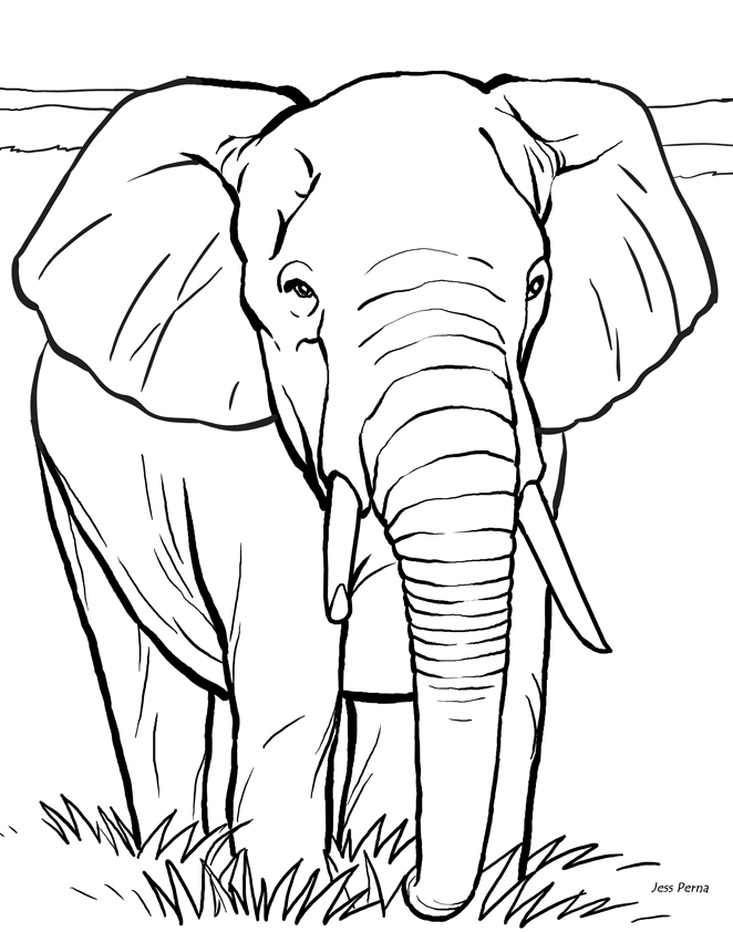 38 Playful Elephant Coloring Pages Printable 34