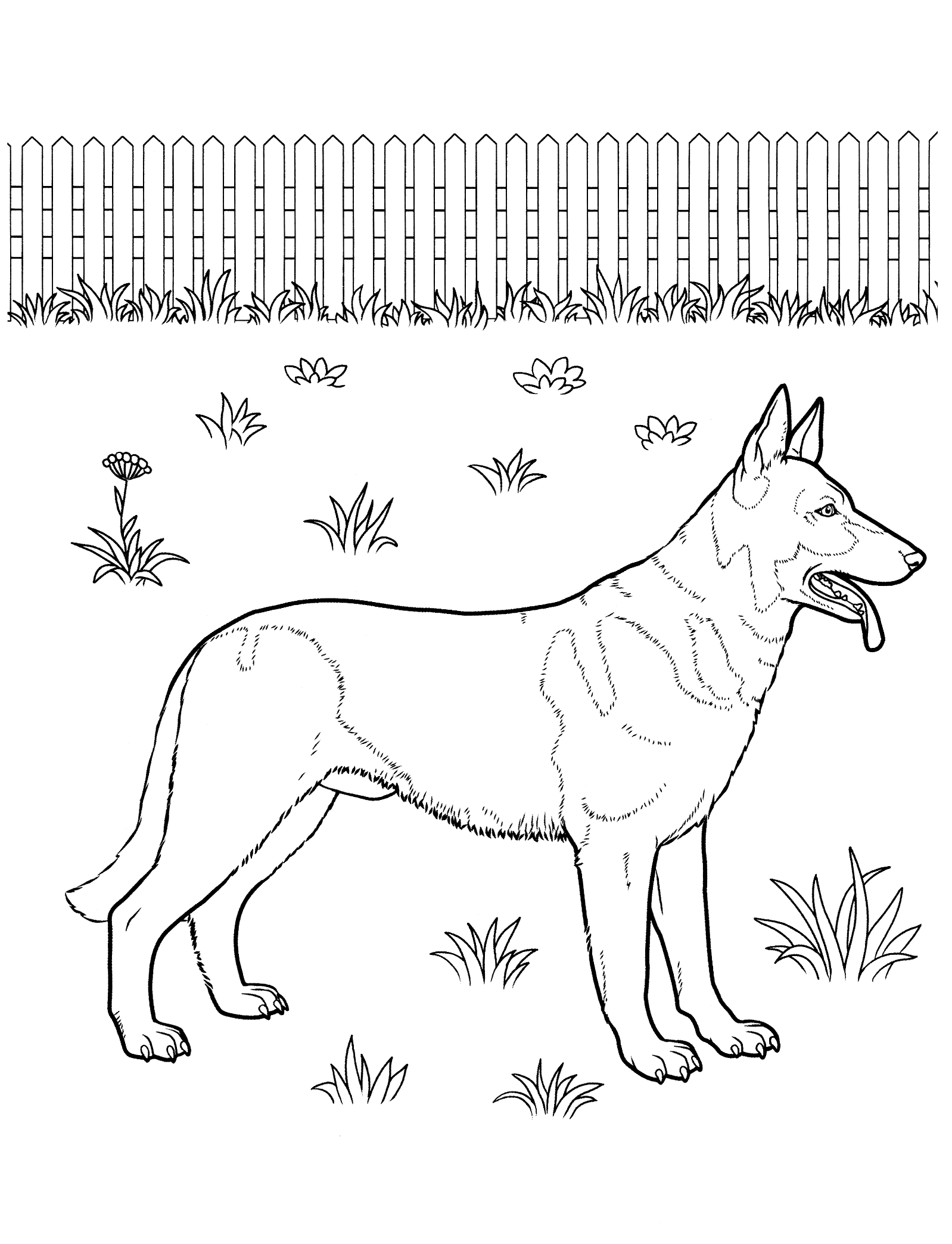 39 German Shepherd Coloring Pages Printable 15