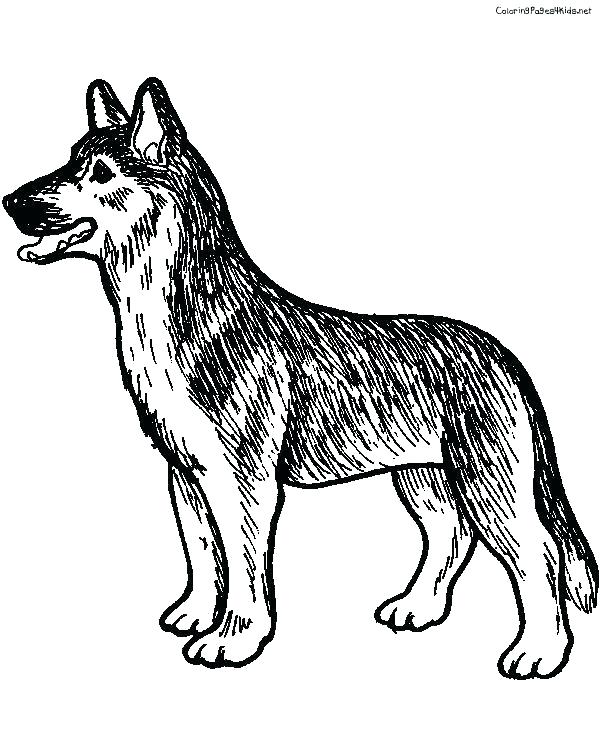 39 German Shepherd Coloring Pages Printable 19