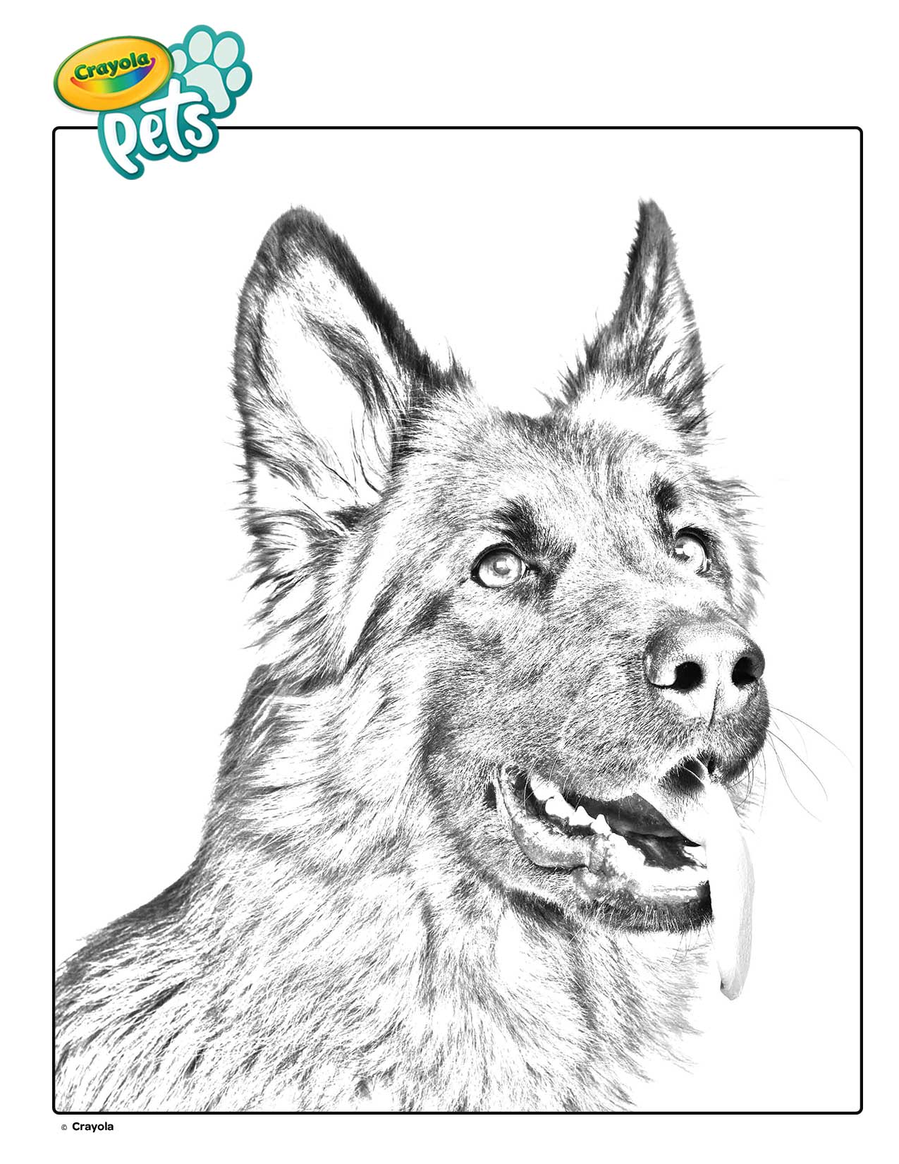 39 German Shepherd Coloring Pages Printable 26