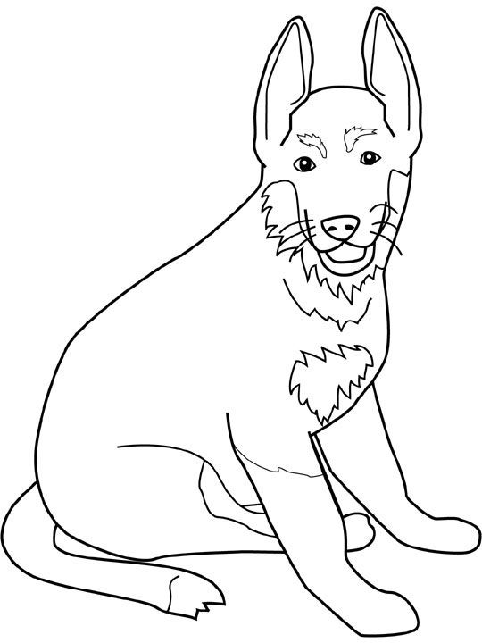 39 German Shepherd Coloring Pages Printable 3