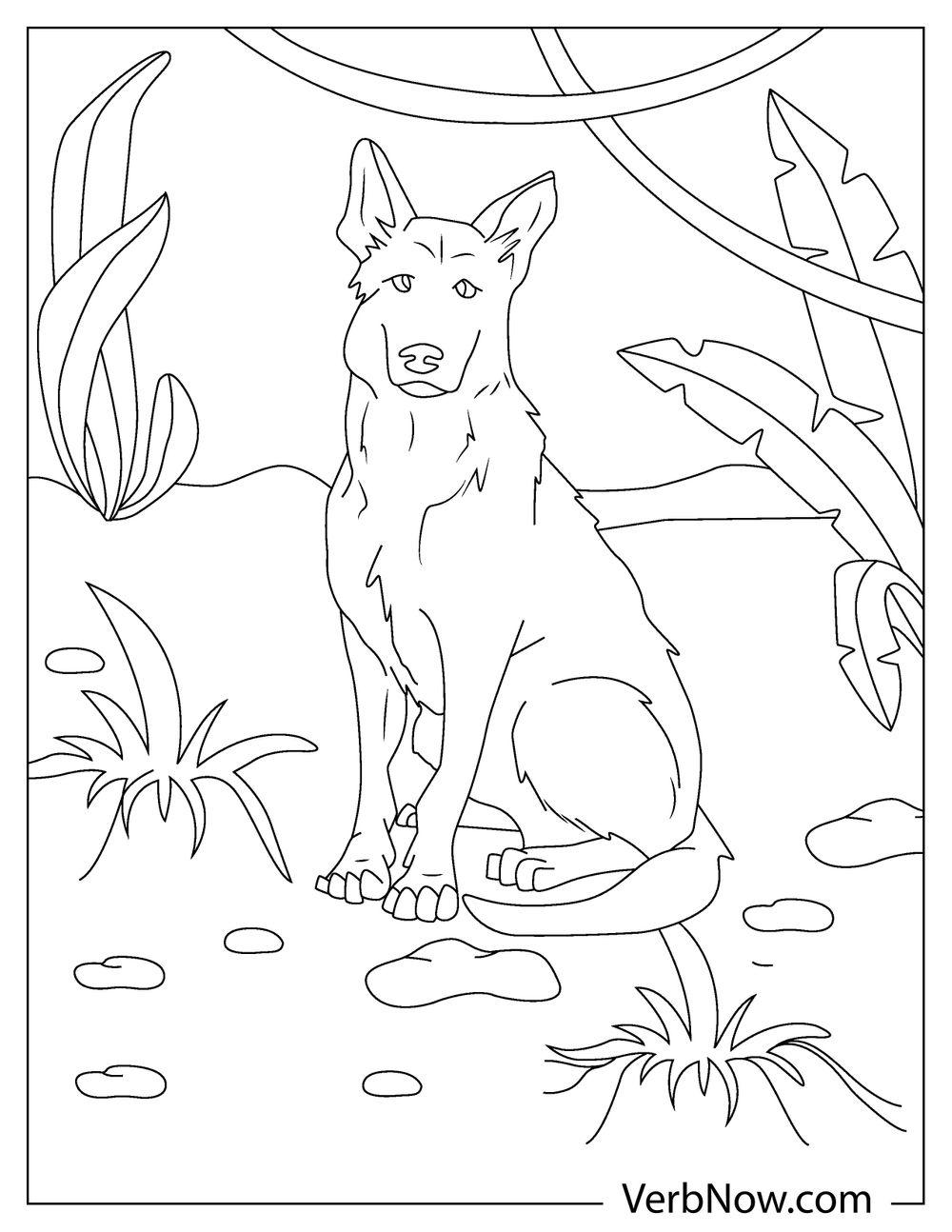 39 German Shepherd Coloring Pages Printable 8