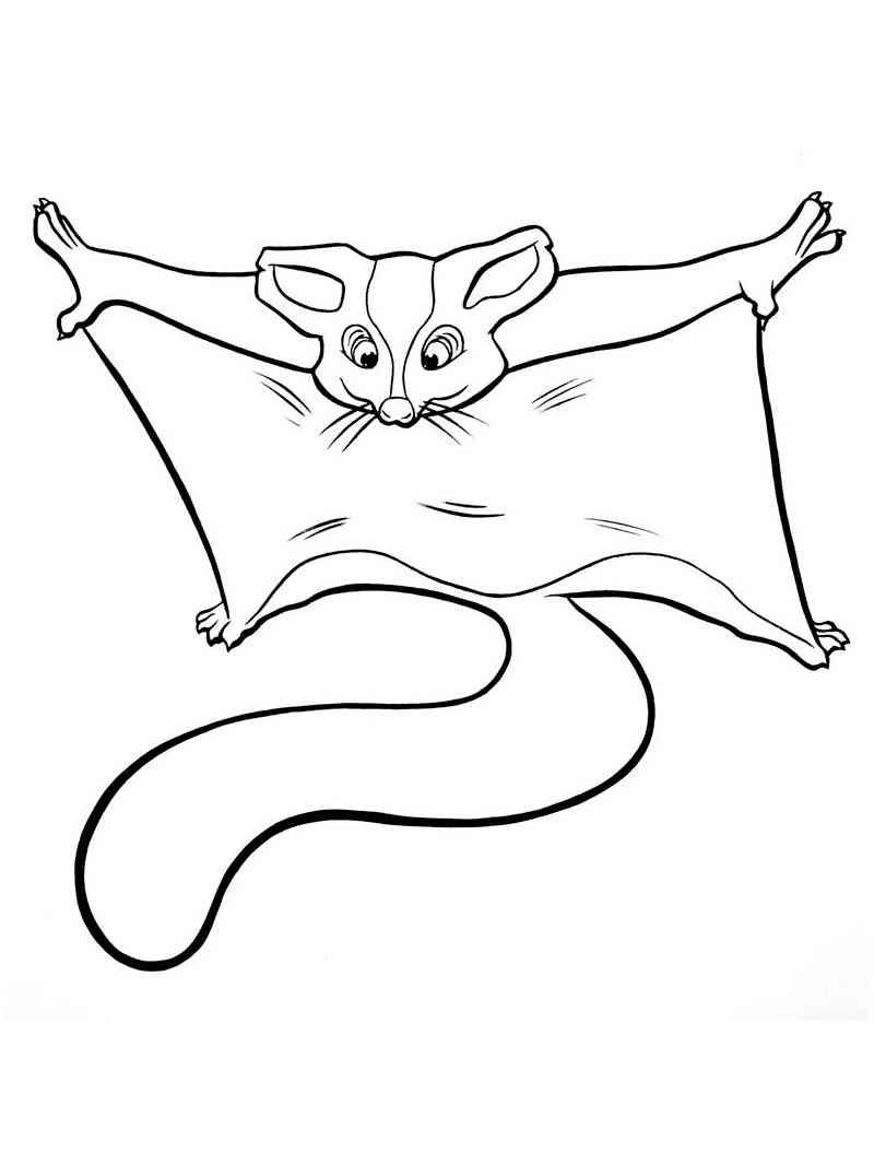 99 Sugar Glider Coloring Pages Printable 13