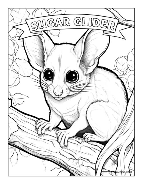 99 Sugar Glider Coloring Pages Printable 26